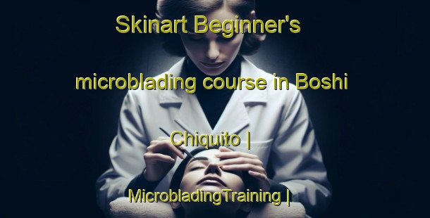 Skinart Beginner's microblading course in Boshi Chiquito | MicrobladingTraining | MicrobladingClasses | SkinartTraining-Mexico